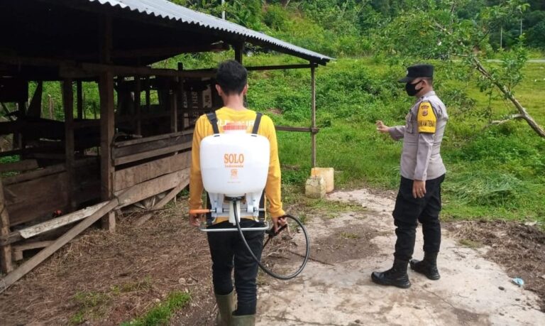 36 Hewan Ternak Terinfeksi PMK Dipotong Bersyarat 36 Hewan Ternak Terinfeksi PMK Dipotong Bersyarat Juli 12, 2022