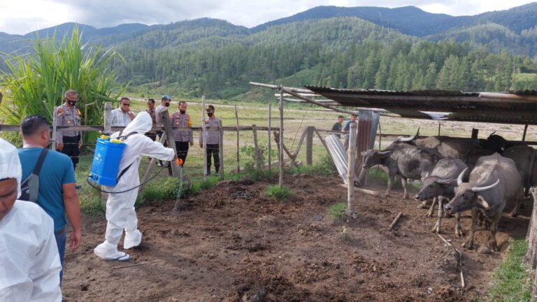 254 Hewan Ternak Mati Akibat Terinfeksi PMK Juli 26, 2022
