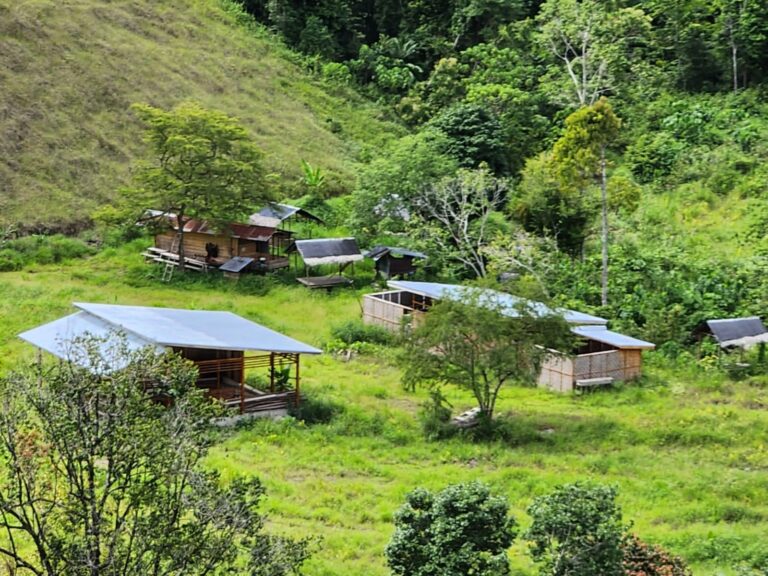 Diduga Ada Perambahan Hutan, Tim Dirreskrimsus Polda Aceh Patroli ke Kawasan Hutan Jantho - Lamno November 17, 2022