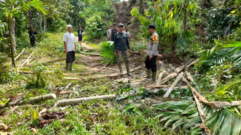 Warga Aceh Timur Halau Gajah Menggunakan Marcon November 22, 2022