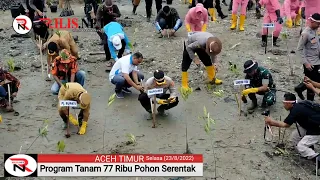 Program Penanaman 77 Ribu Pohon❗ Kapolres Aceh Timur dan Forkopimda Tanam Mangrove