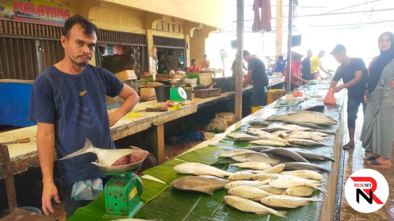 Harga Ikan di Pasar Kota Idi Rayeuk Melambung Tinggi  April 5, 2023
