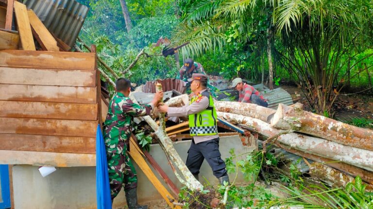 Akibat Angin Kencang Rumah Warga Aceh Timur Tertimpa Pohon Juli 19, 2023