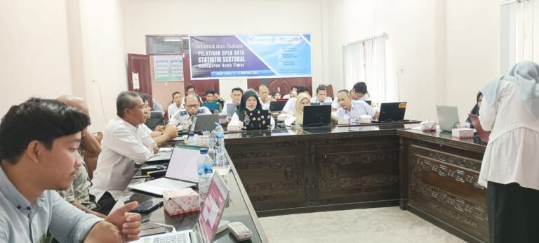 Diskominfo Aceh Timur Gelar Pelatihan Pengelolaan Portal Open Data Statistik Agustus 2, 2023