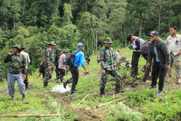 5 Hektar Ladang Ganja Dimusnahkan di Gayo Lues  September 27, 2023