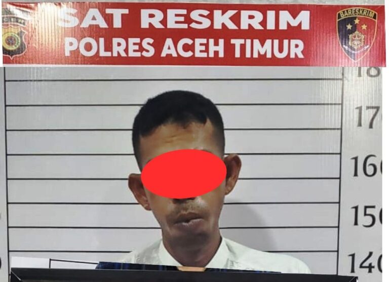 Cabuli Anak Kandung Hingga Melahirkan, Seorang Ayah Diamankan ke Polres Aceh Timur Maret 21, 2024