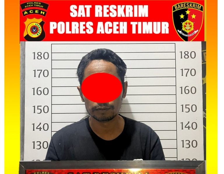 Polres Aceh Timur Amankan Pria Diduga Pelaku Pencabulan Anak Dibawah Umur  Januari 24, 2025