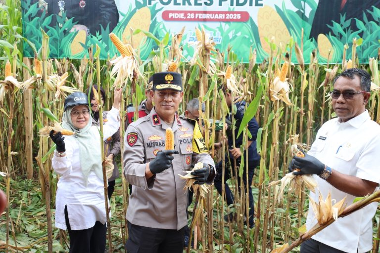 Wakapolda Aceh Panen Raya Jagung Serentak di Kabupaten Pidie Wakapolda Aceh Panen Raya Jagung Serentak di Kabupaten Pidie Februari 26, 2025
