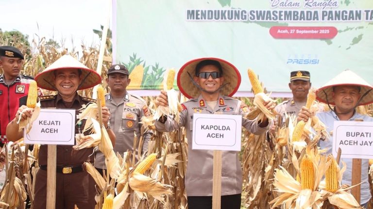 Kapolda Panen 24,5 Ton Jagung pada Kuartal III di Aceh Jaya September 27, 2025