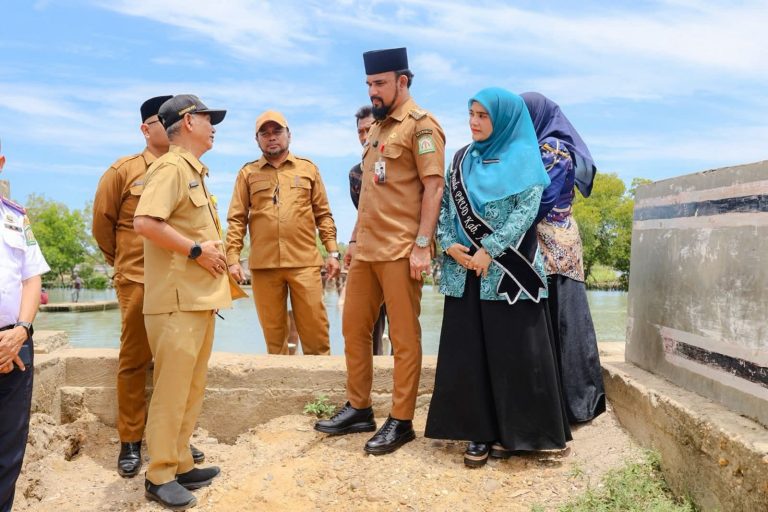 Rencana Akan Dibangun, Bupati Al-Farlaky Tinjau Jembatan Naleung Julok  Oktober 8, 2025