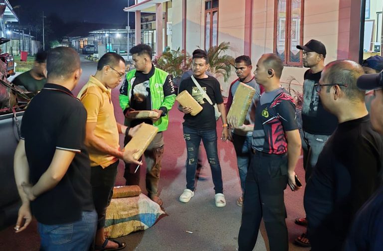 Polres Bireuen Amankan Satu Pelaku dan 154 Kg Ganja Oktober 11, 2025