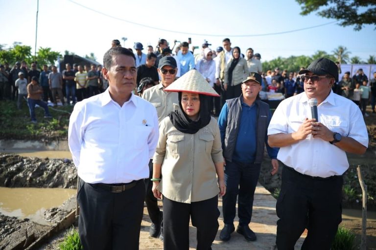 Petani yang Perbaiki Sawah Sendiri Diberi Insentif Rp 100.000 Per Hari di Aceh Utara Januari 15, 2026