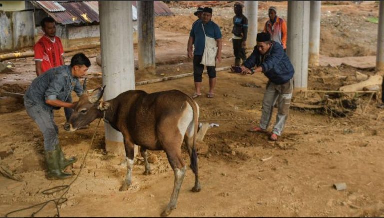 Prabowo Bagikan Daging Sapi Senilai Rp 72 M Buat Warga Aceh Februari 18, 2026