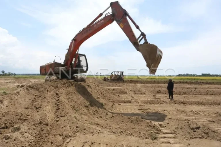 Aceh Tamiang Pacu Rehabilitasi dan Optimalisasi Sawah Pascabencana Juni 27, 2026