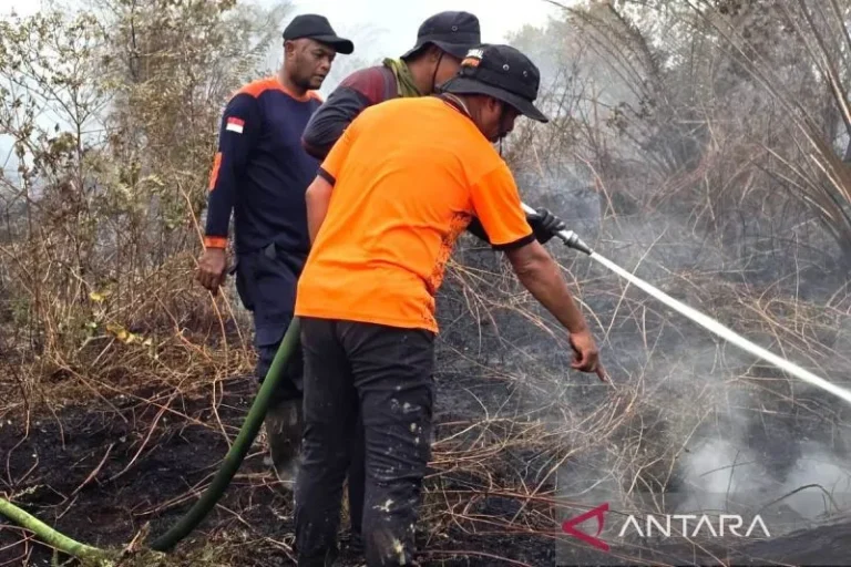Karhutla Meluas di Tiga Kecamatan di Aceh Barat Seluas 9 Ha Juli 21, 2026