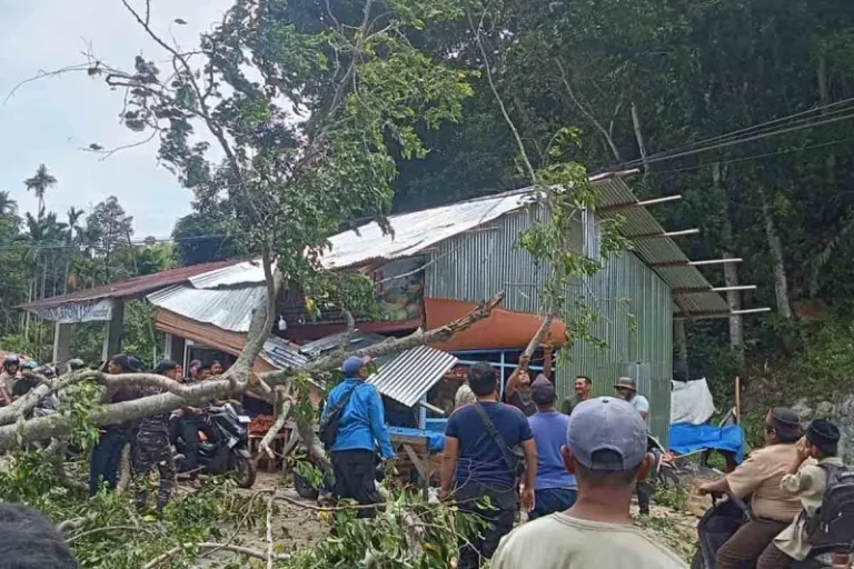 Akibat Angin Kencang Sejumlah Pohon Tumbang di Aceh Selatan Akibat Angin Kencang Sejumlah Pohon Tumbang di Aceh Selatan Agustus 7, 2026